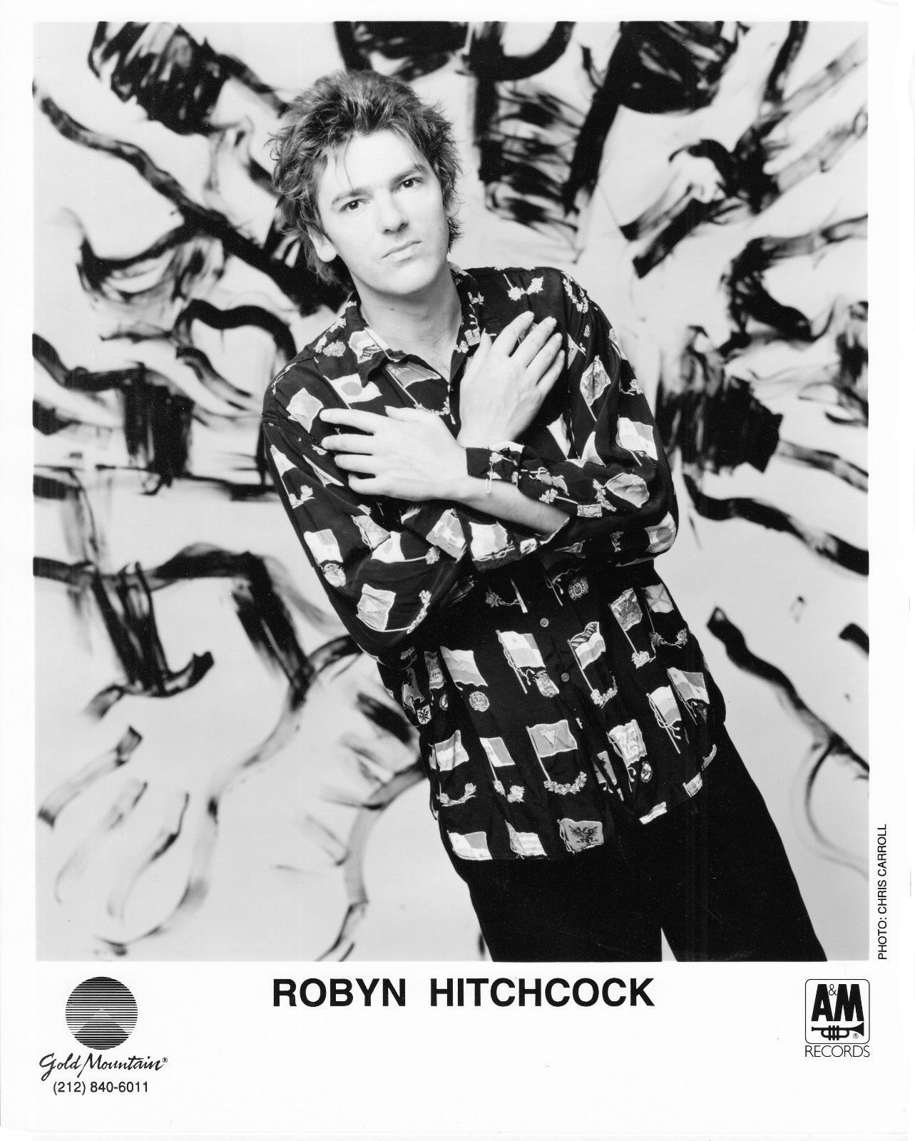 Robyn Hitchcock On A&M Records